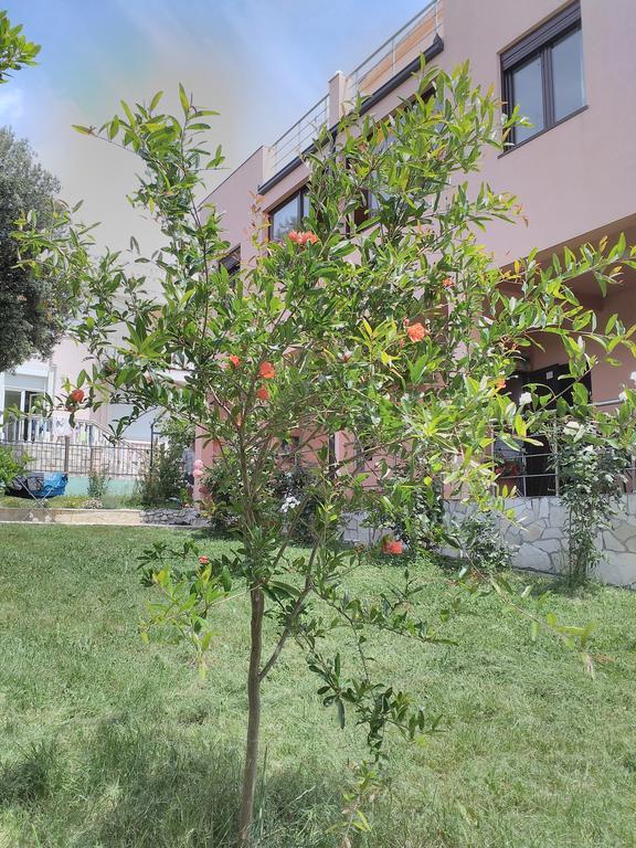 אוטייהא Villa Persik מראה חיצוני תמונה